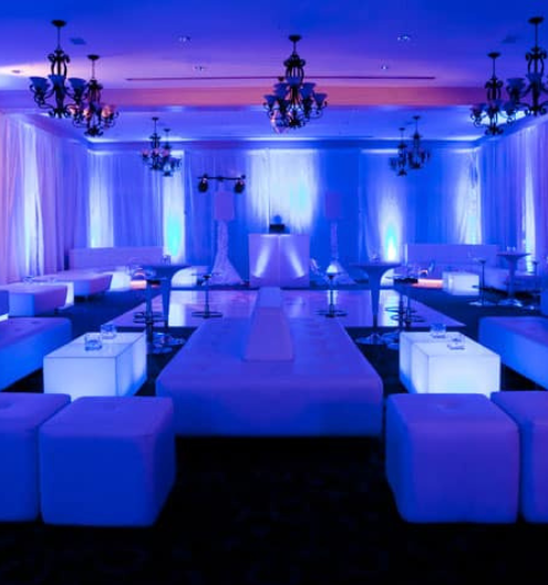 Untitled design (98)